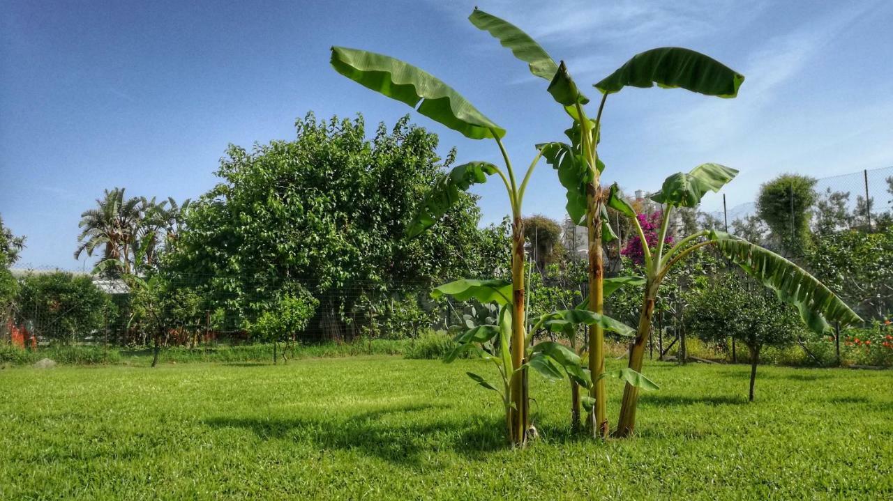 B&B Tifeo Villafranca Tirrena Exteriér fotografie