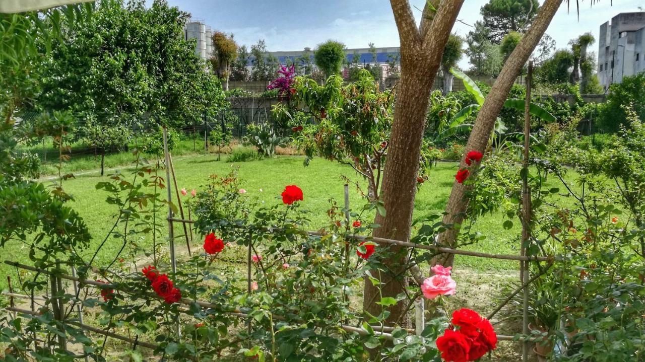 B&B Tifeo Villafranca Tirrena Exteriér fotografie